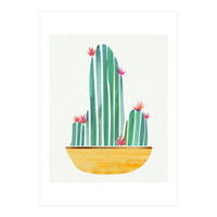 Bowl O' Cactus (Print Only)