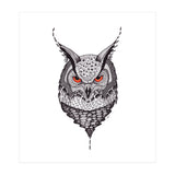 Owl (Print Only) thumbnail