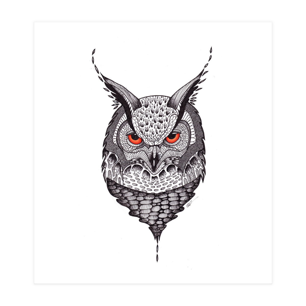 Owl (Print Only)