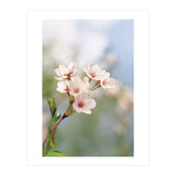 FLOWER (Print Only) thumbnail