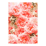 Fiona II (Print Only) thumbnail