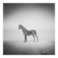 Zebra Mist (Print Only)