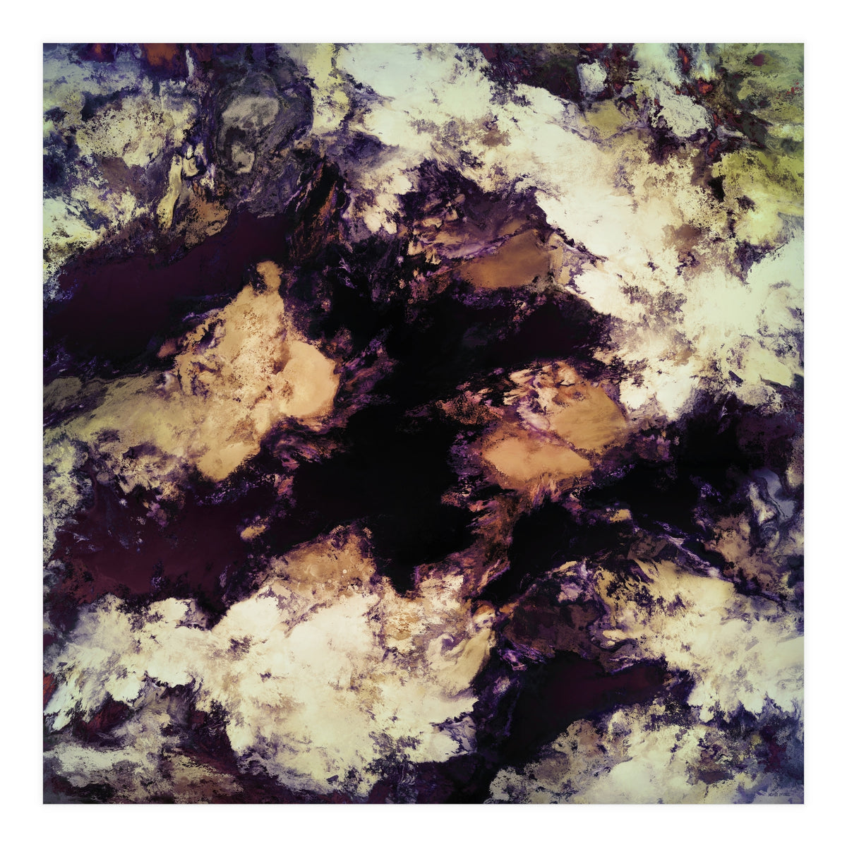 Hidden Dog (Print Only)