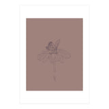 Butterfly 6 (Print Only) thumbnail