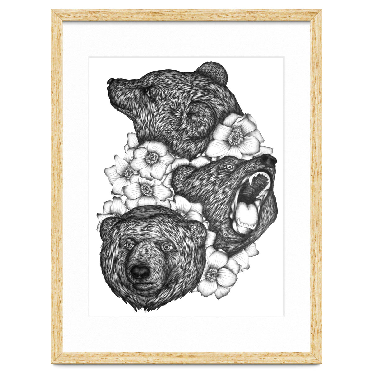 Bears In Bears