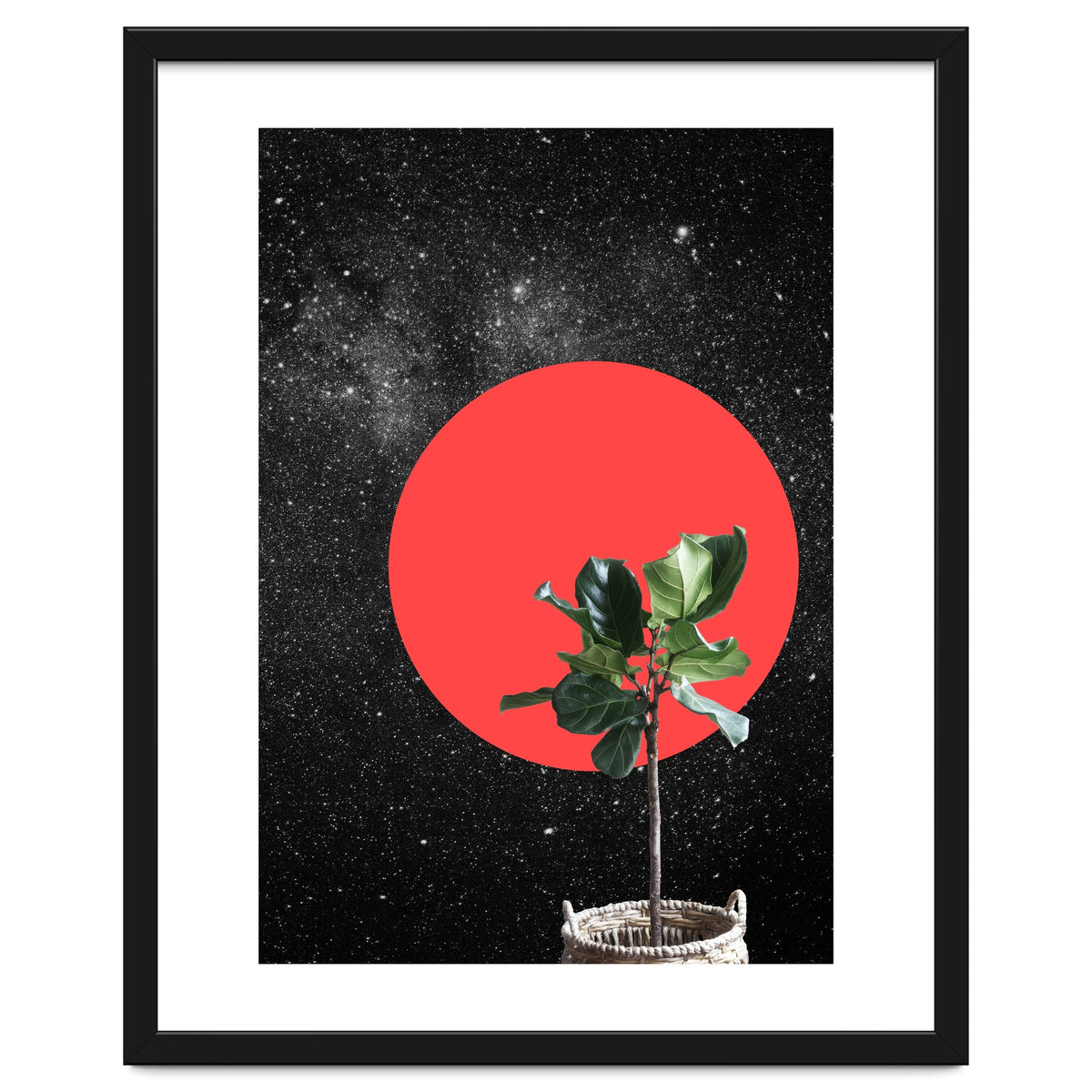 "Bonsai" - Digital Collage