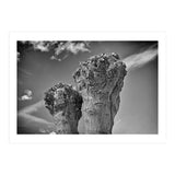 Cut down 2 (Print Only) thumbnail