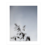 Forgotten Memories of Summer #17 (Print Only) thumbnail