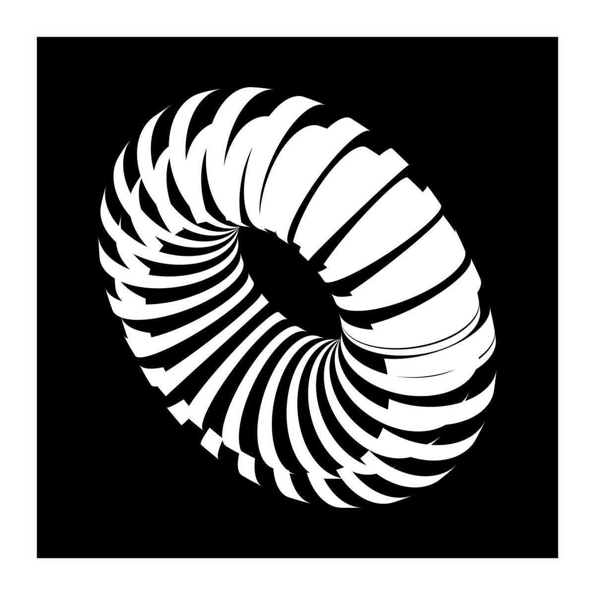 Kinetic_Black (Print Only)