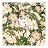 Child Of Nature (Print Only) thumbnail