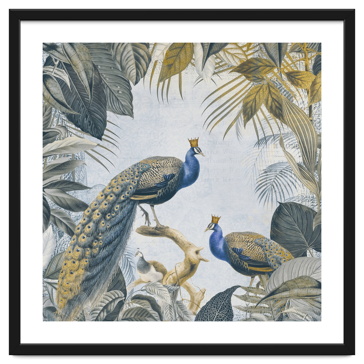 Fantastic Peacock Kings Gold Look