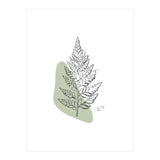 Fern (Print Only) thumbnail