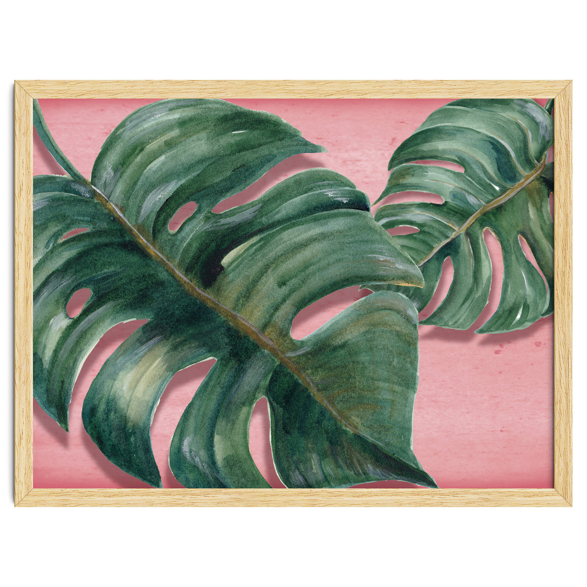 Monstera Leaf