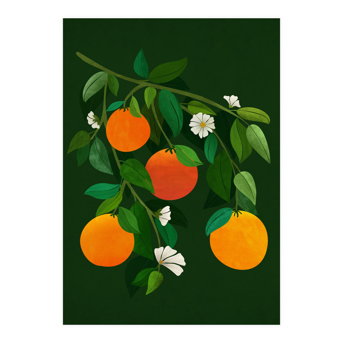 Oranges and Blossoms (Print Only)