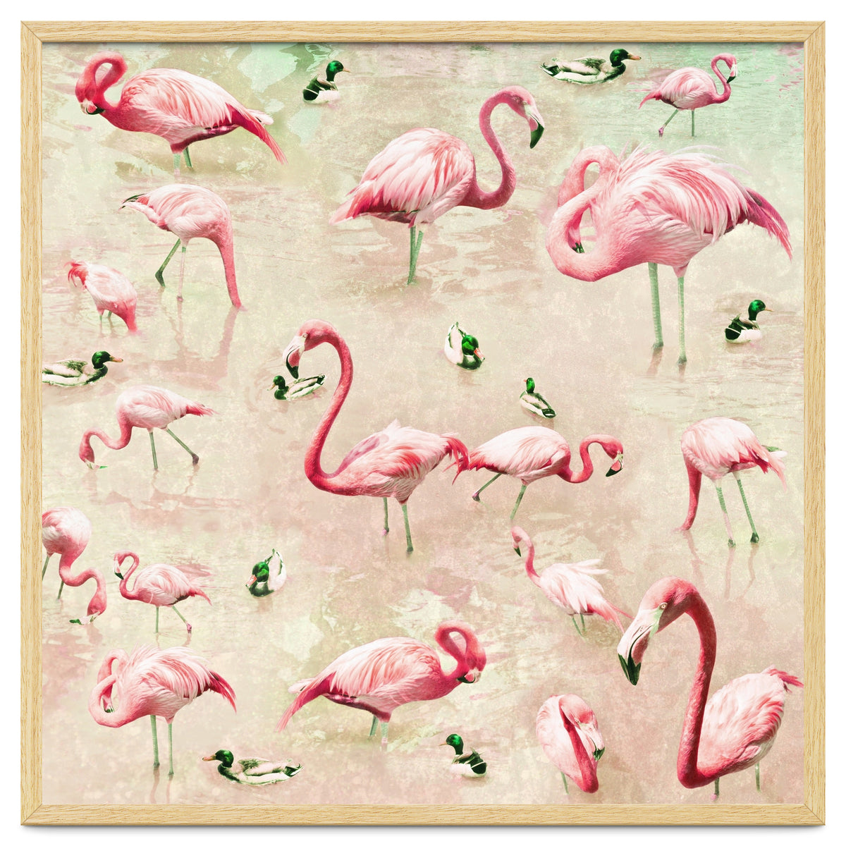 Flamingos Vintage Pink