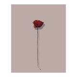 Poppy (Print Only) thumbnail
