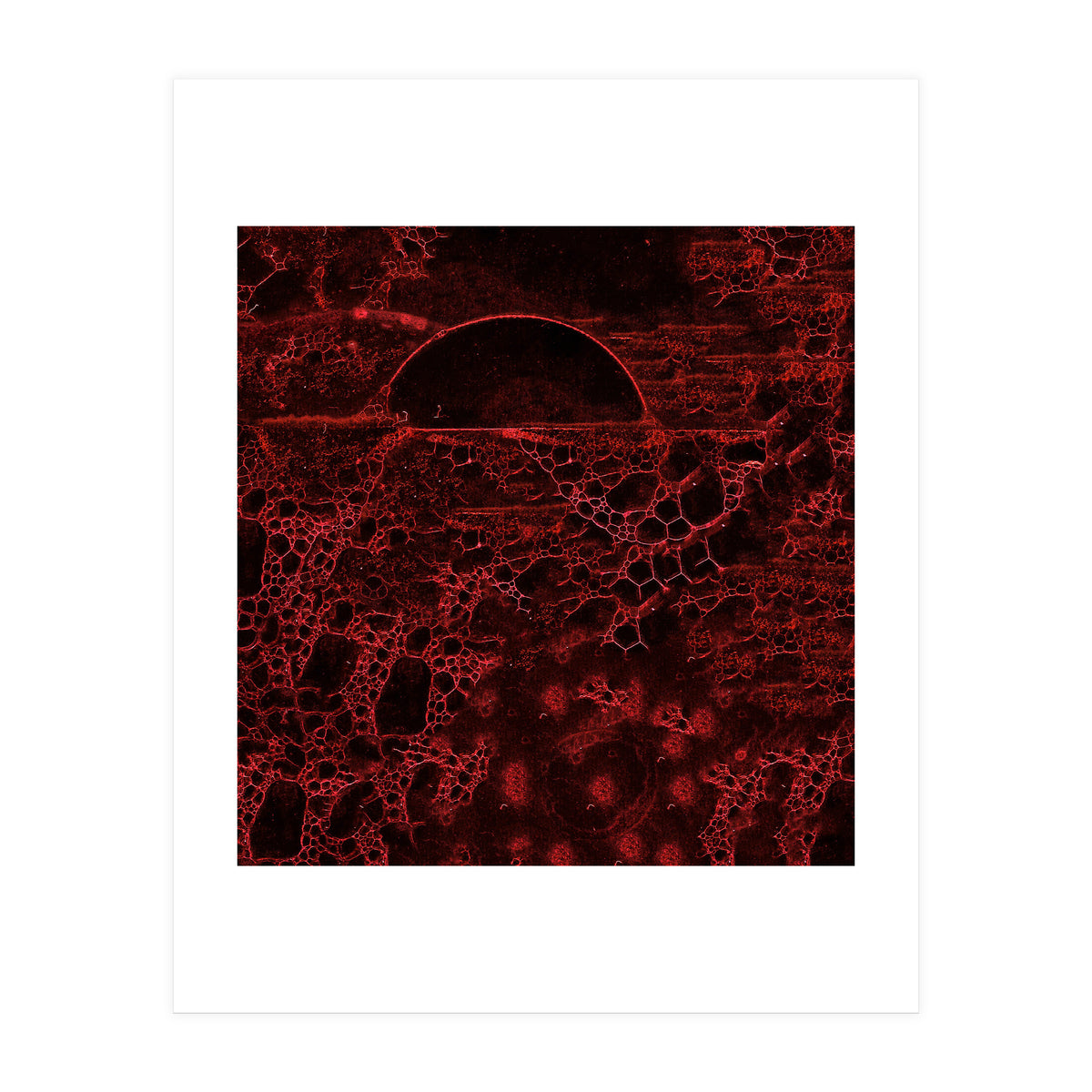 Red bubble (Print Only)
