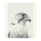 Hawk 2018 (Print Only) thumbnail