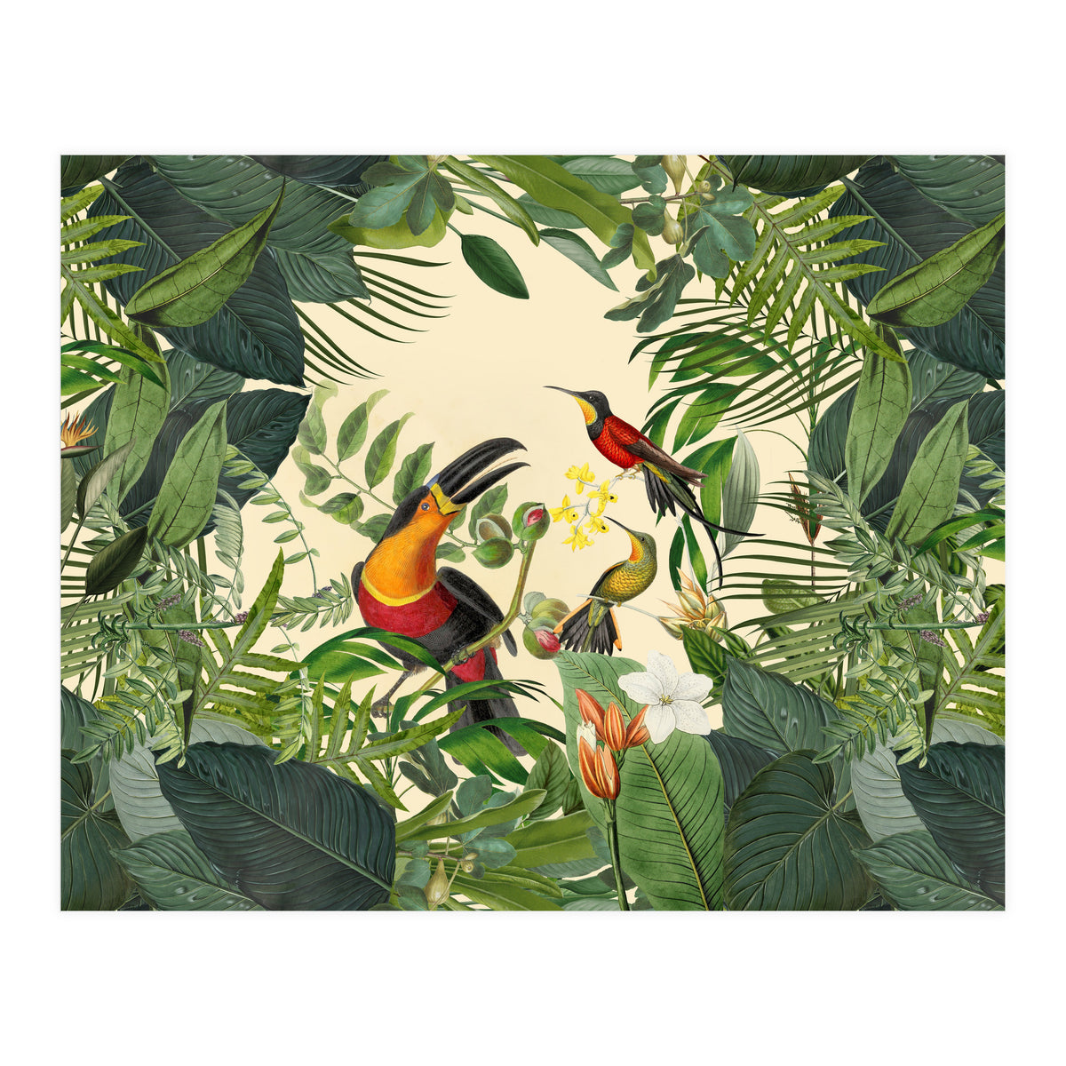 Green Jungle Toucans 2 (Print Only)
