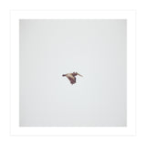 Solo Flight (Print Only) thumbnail