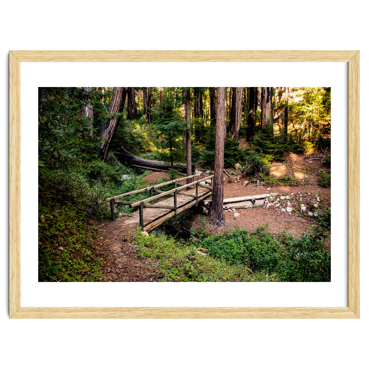 Ewoldsen Loop Bridge