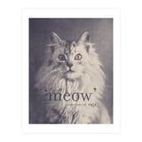 Famous Quote Cat (Print Only) thumbnail