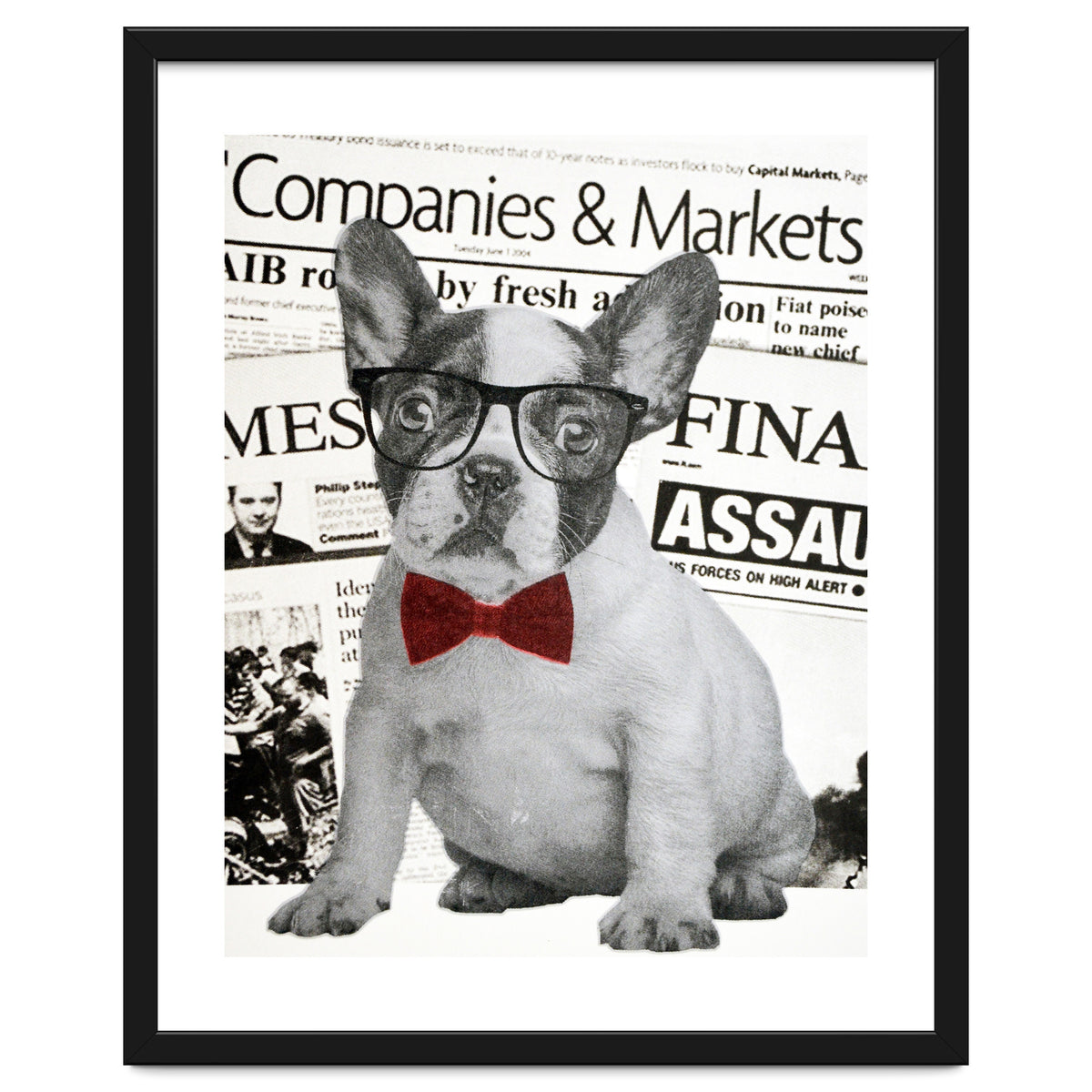 The Dog Of Wall Street