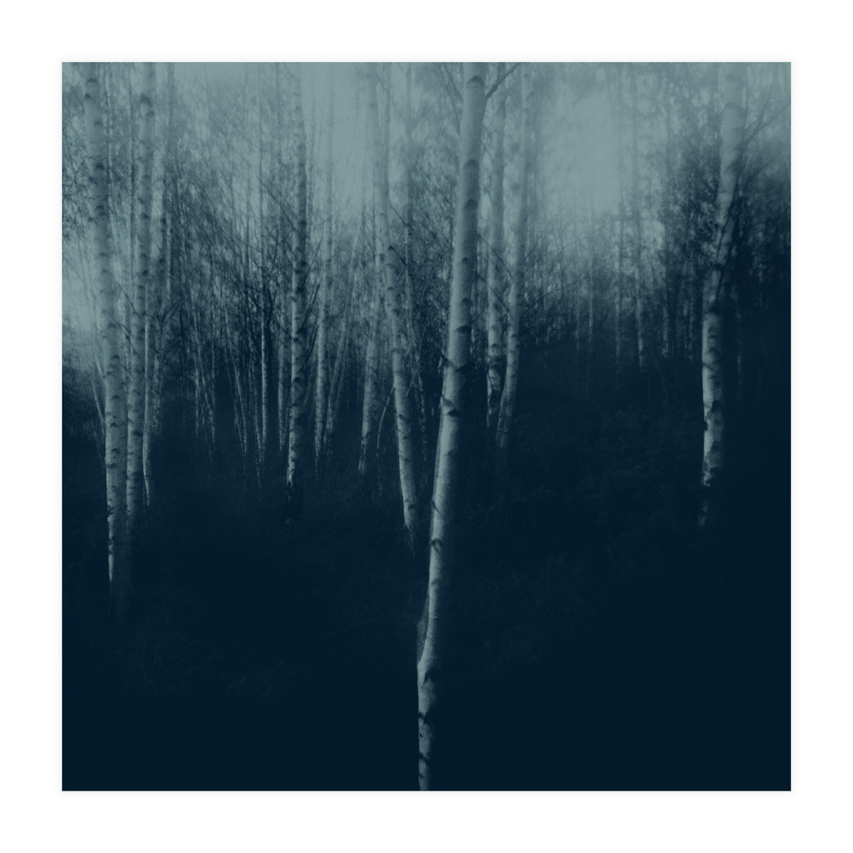 deep veins I (Print Only)