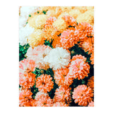 Garden Song (Print Only) thumbnail
