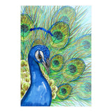 Peacock portrait (Print Only) thumbnail