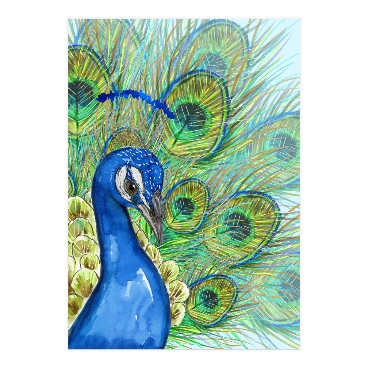 Peacock portrait (Print Only)