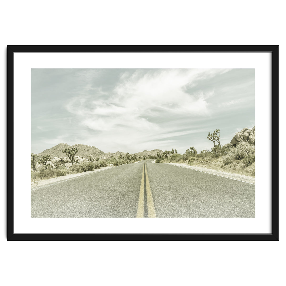 Joshua Trees, Park Boulevard | Vintage