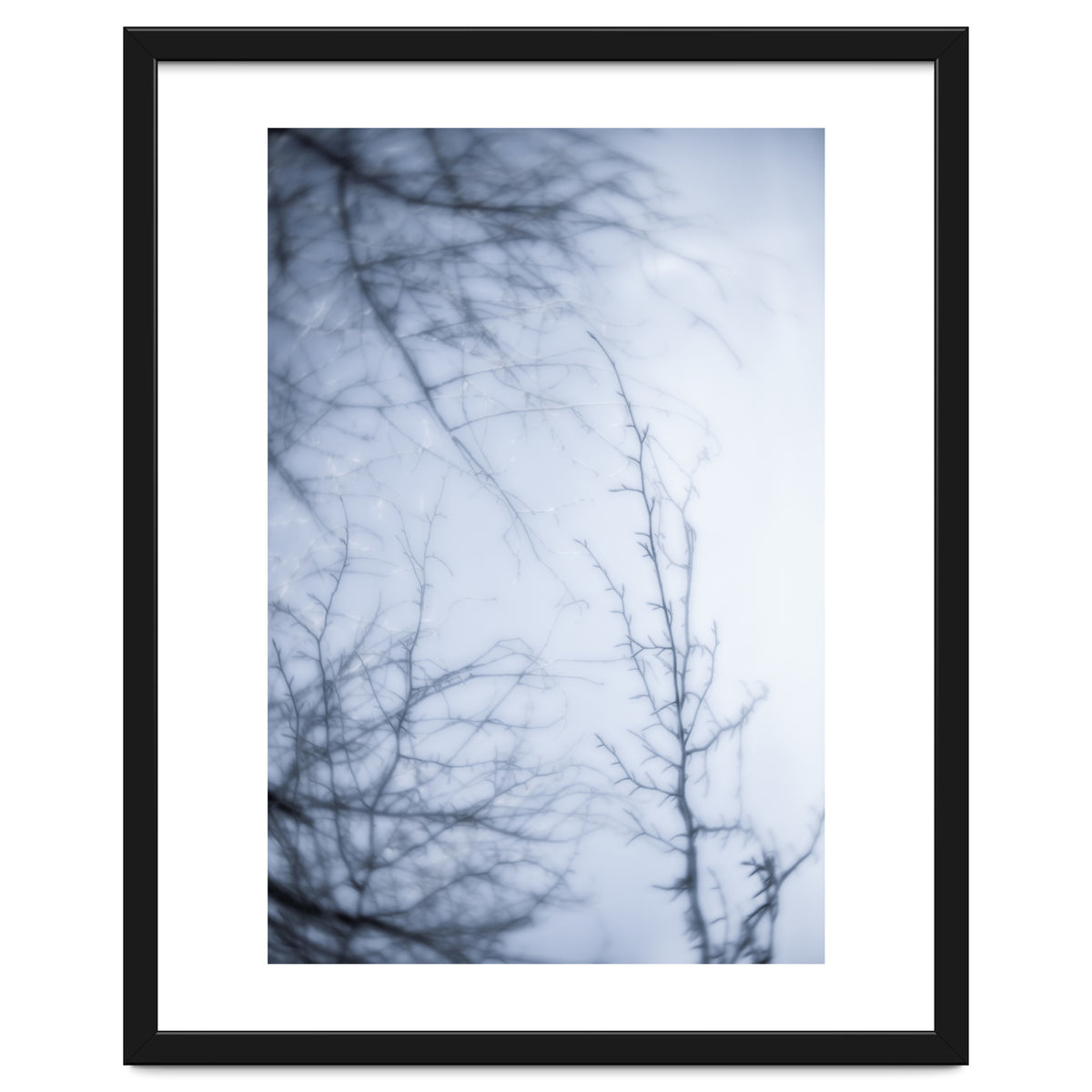 Forgotten Memories of Summer #21