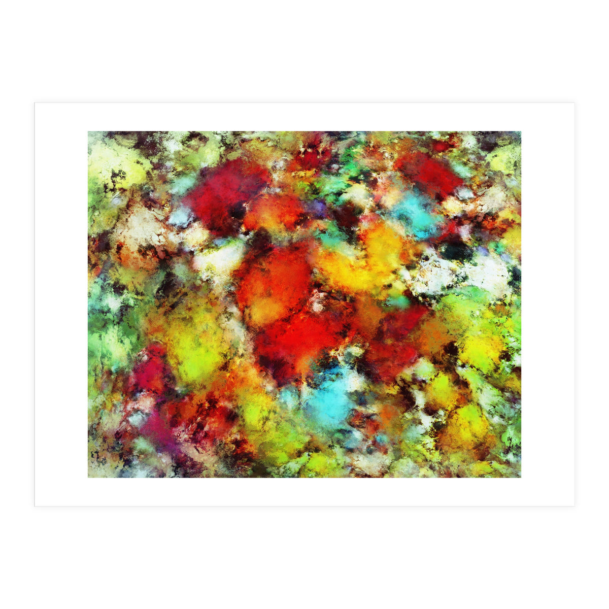 Expansion (Print Only)