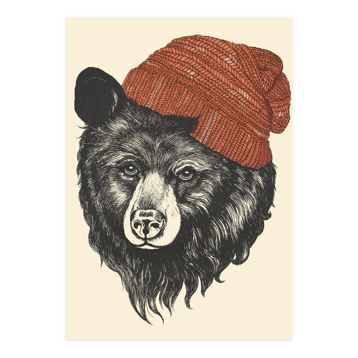 Zissou The Bear (Print Only)
