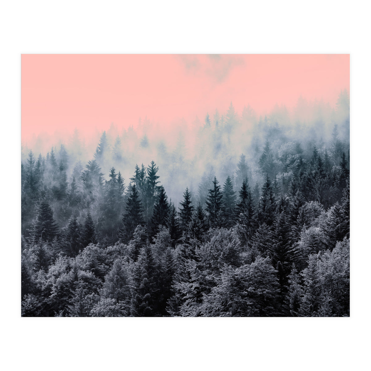 Forest in gray and pink  (Print Only)