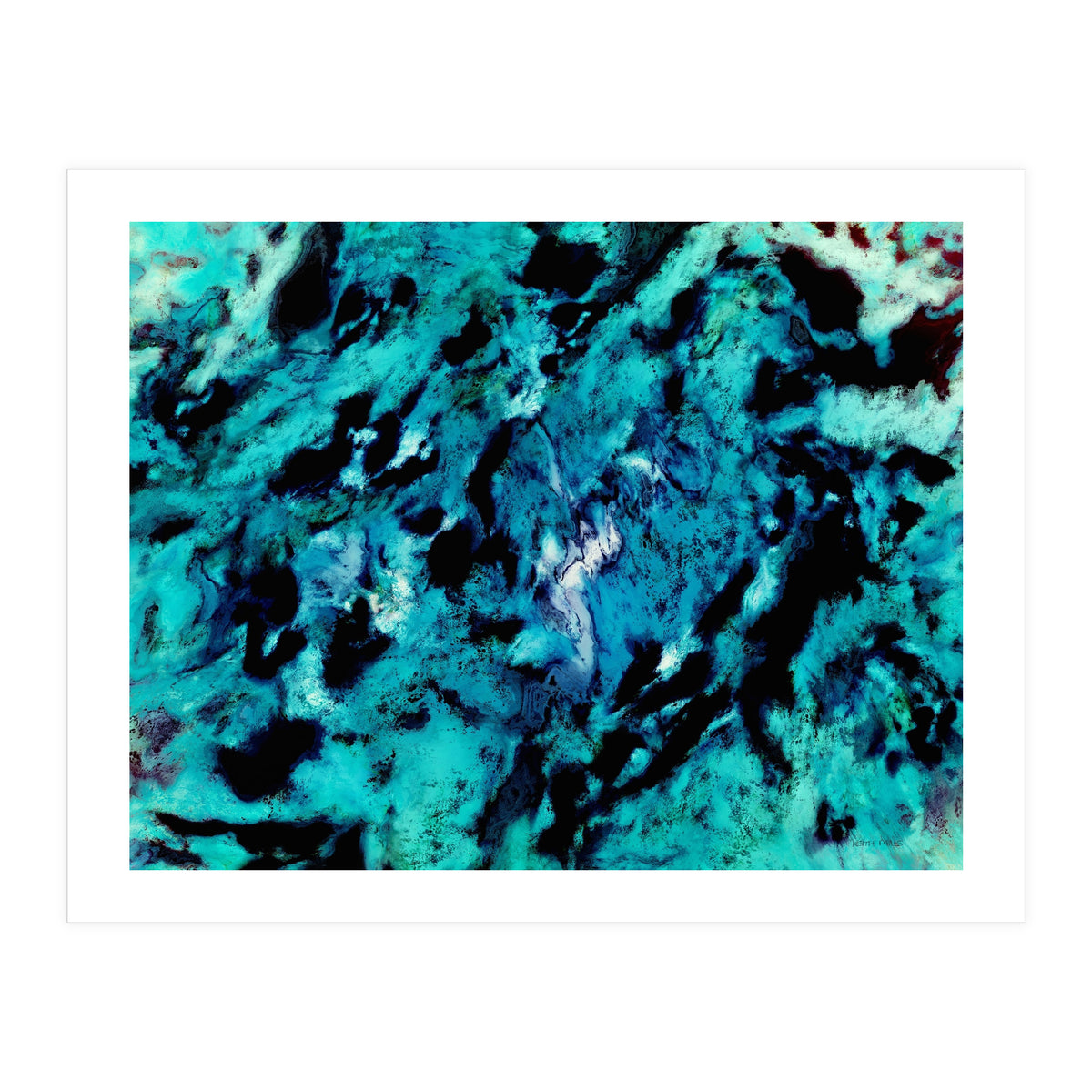 Distinguishing Marks (Print Only)