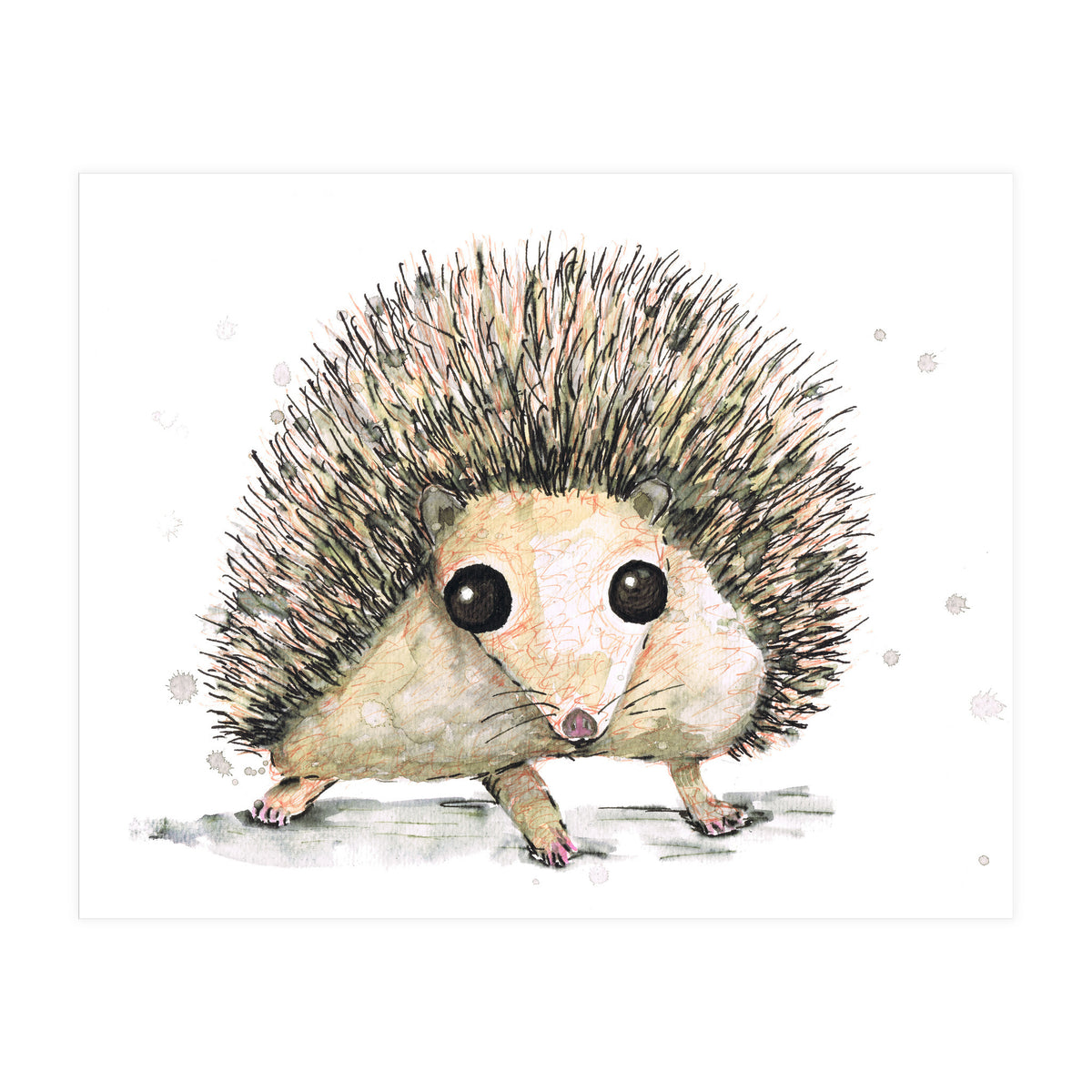 Hedgehog (Print Only)