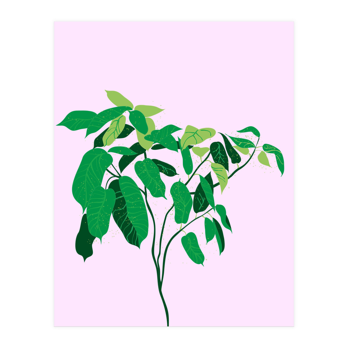 Ficus on Pink Background (Print Only)