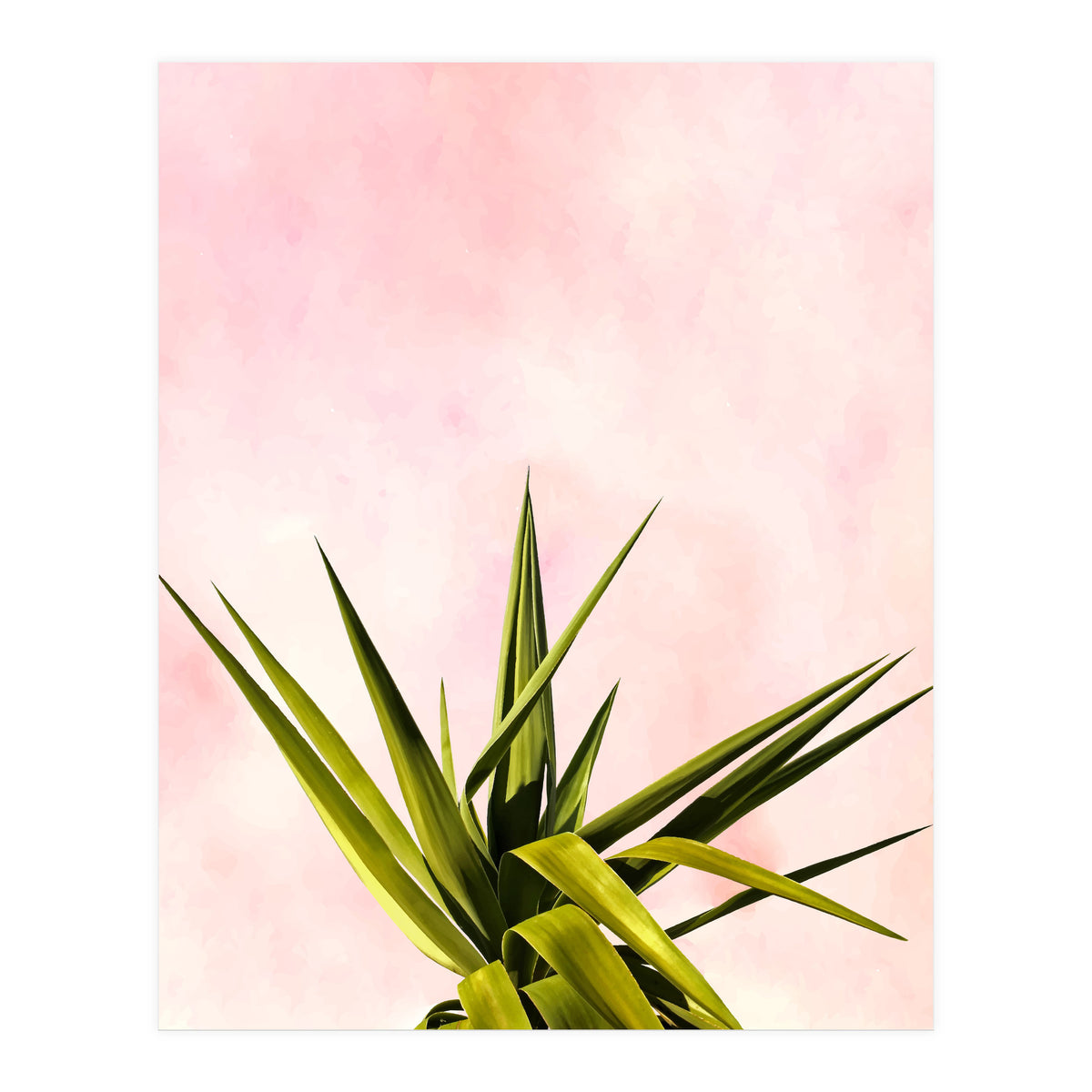 Joy Of Dreams (Print Only)