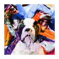 Zycko Color Dog 1 (Print Only)