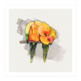 Two cuddling sun conures (Print Only) thumbnail