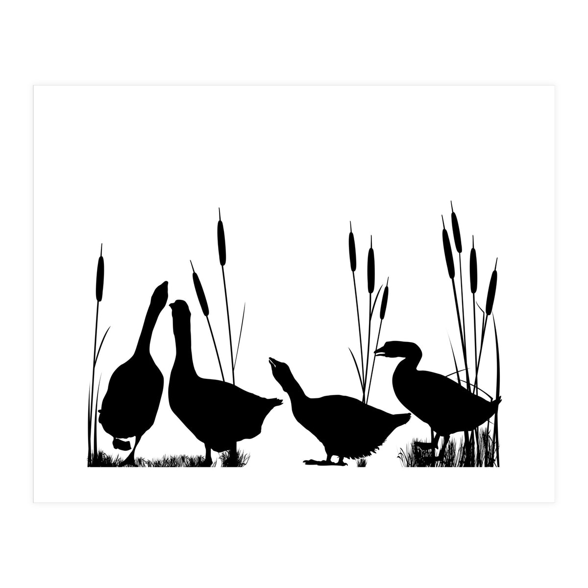 Geeses  (Print Only)