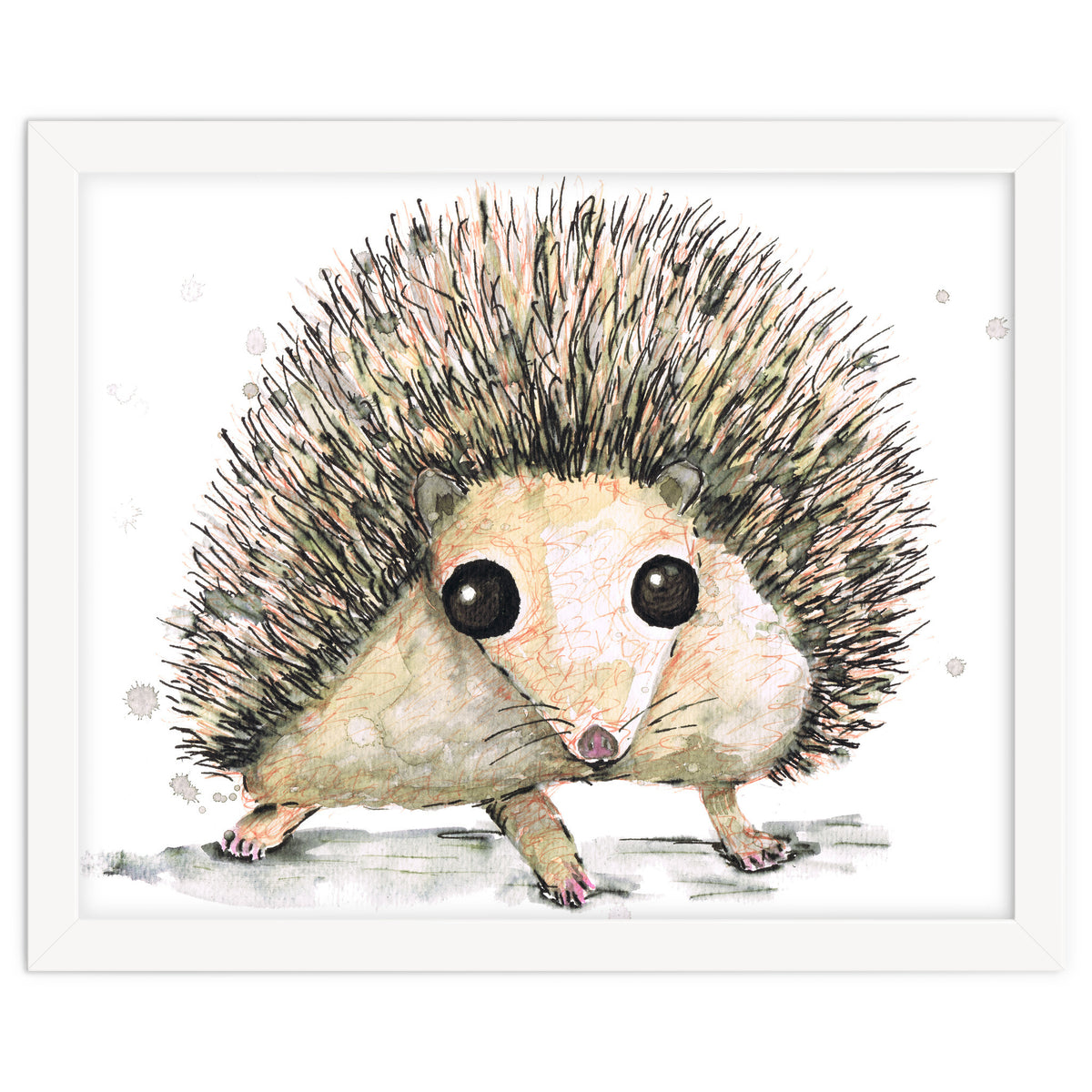 Hedgehog