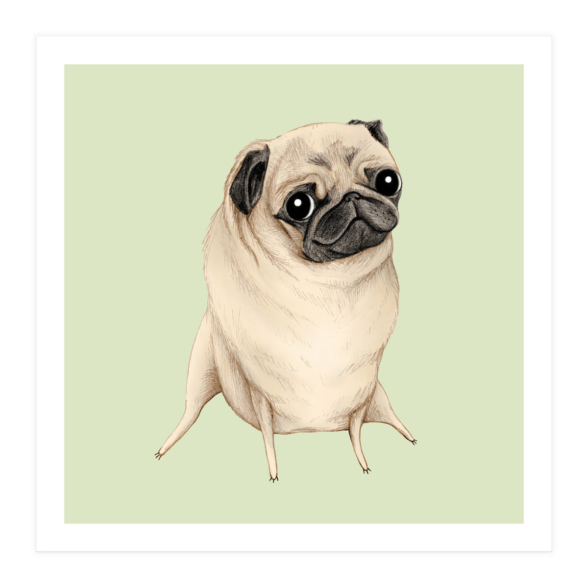 Sweet Fawn Pug (Print Only)