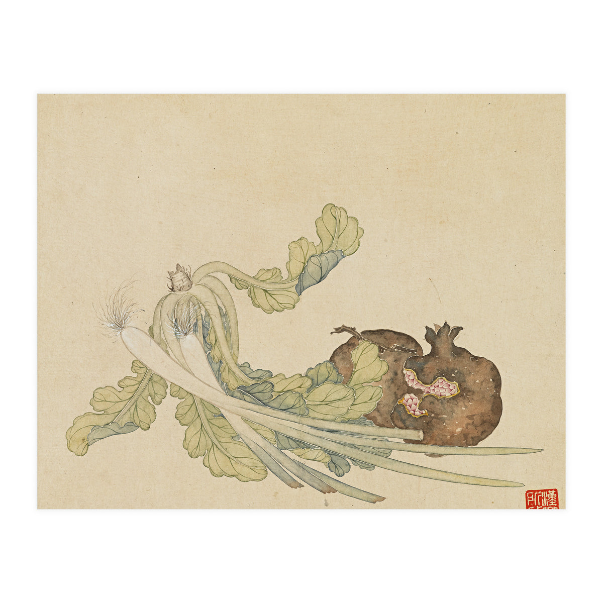 Wang Chengyu ~flowers, Vegetables, Pomegranates, Onions, Chinese Cabbage, Vegetables (Print Only)
