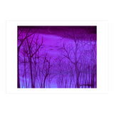 Forest Light (Print Only) thumbnail