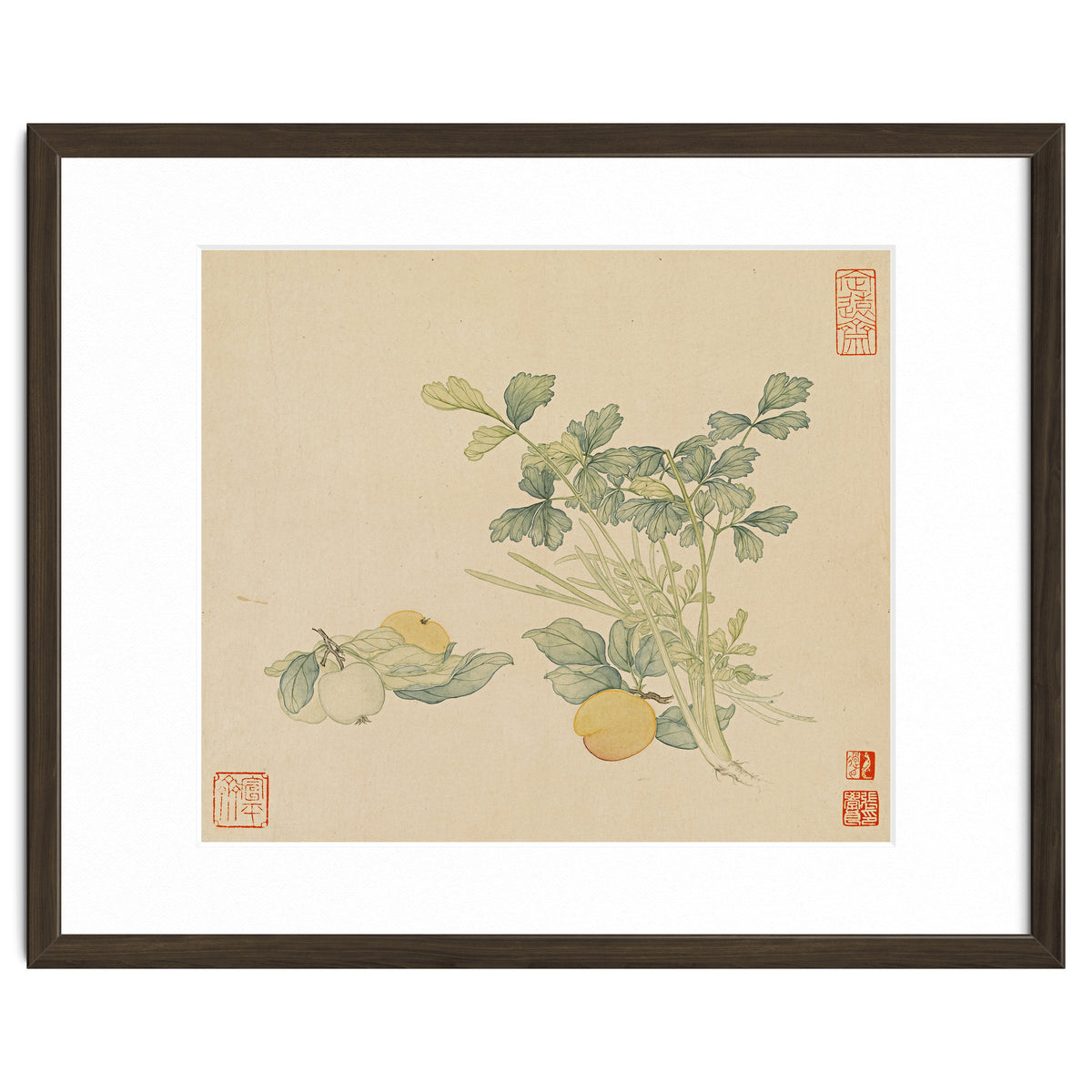 Wang Chengyu~flowers And Vegetables, Vegetables, Fruits, Plums, Apricots, Celery