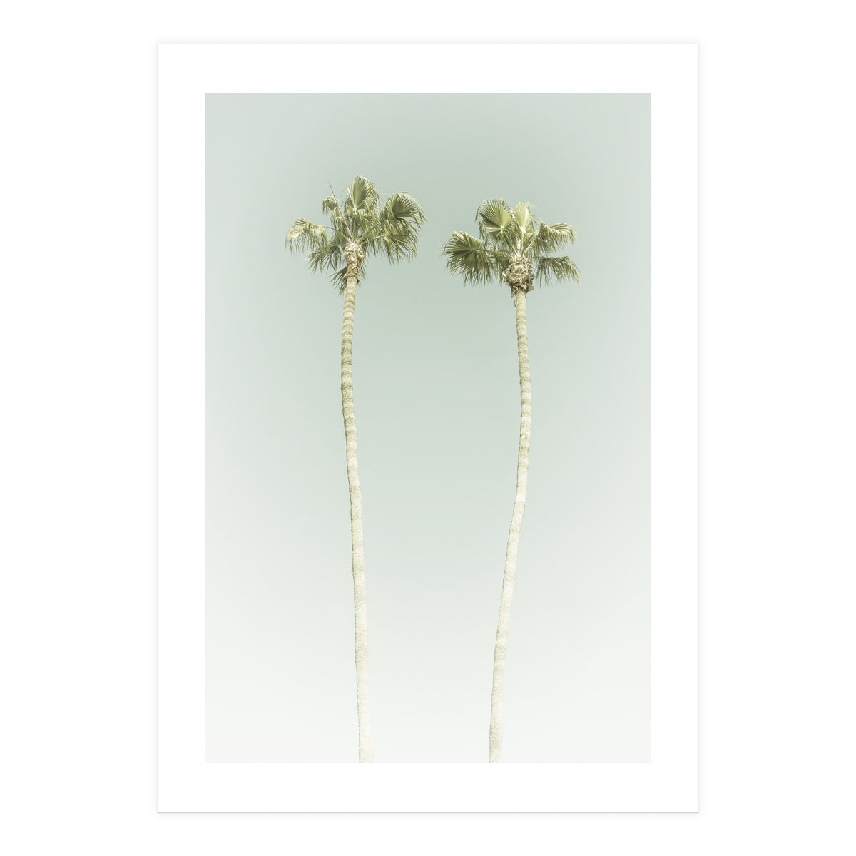 Vintage Palm Trees  (Print Only)