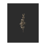 Gold Rush Botanicals (Print Only) thumbnail